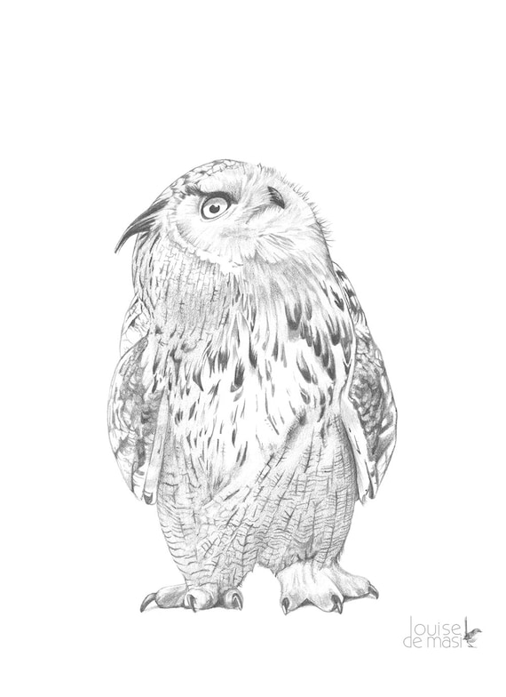 EuleBleistift Zeichnung Druck Zeichnung Eule UhuDruck Etsy