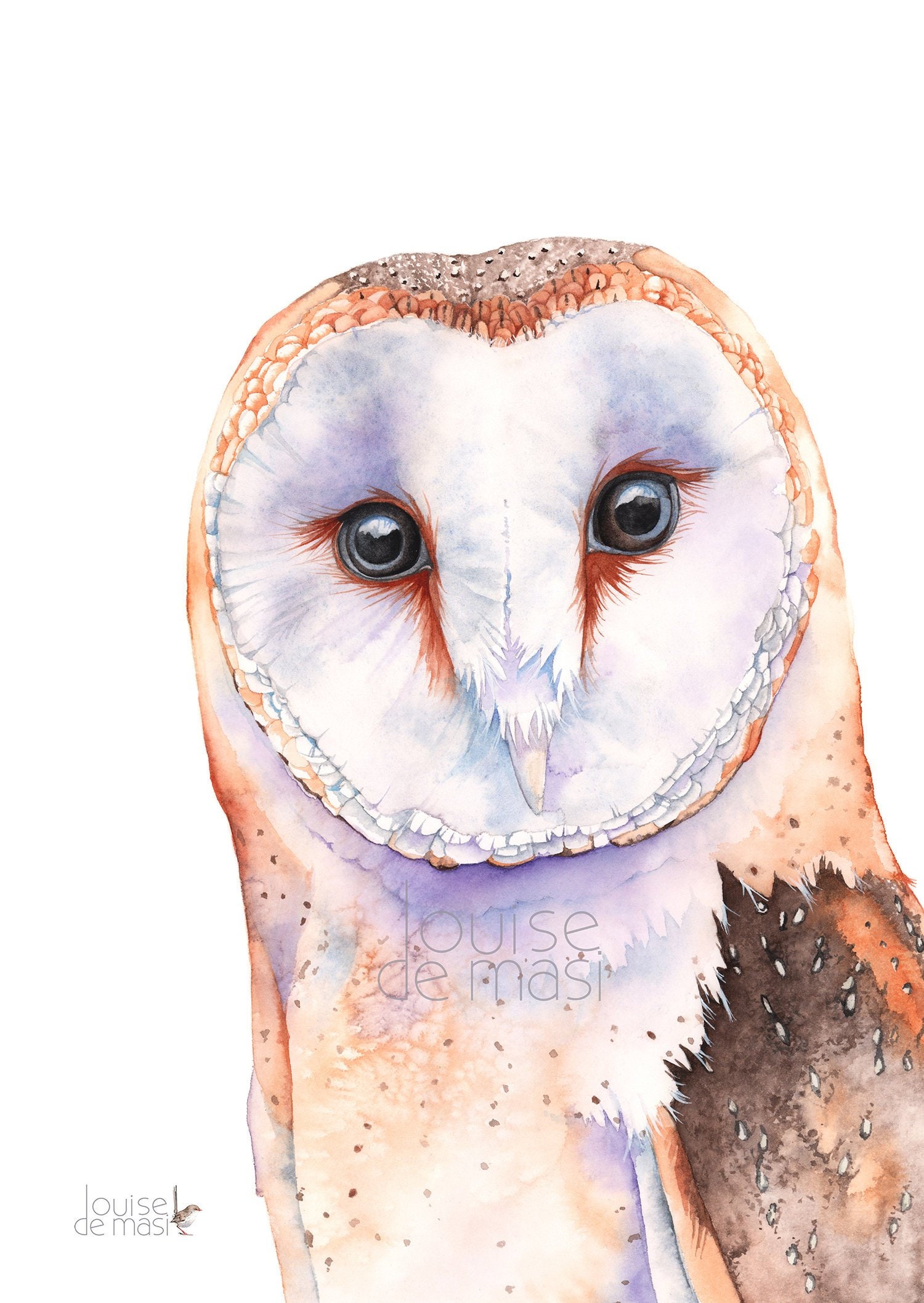 Barn Owl Print Of Watercolor Painting 5 By 7 Size Bo152019 Etsy