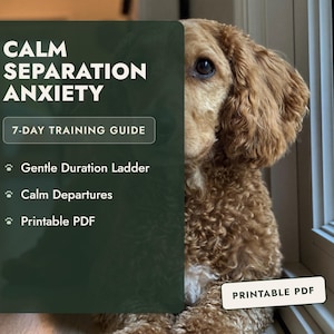 Könnte beinhalten: Ein digitaler Trainingsleitfaden mit dem Titel CALM SEPARATION ANXIETY 7-DAY TRAINING GUIDE mit Aufzählungspunkten für Gentle Duration Ladder, Calm Departures und Printable PDF, der einen lockigen goldenen Hund vor einem Fenster zeigt.