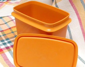 Vintage Retro 1980s Tupperware Lidded Canister Small Burnt orange Vintage food storage Tupperware Item No 1243-15