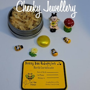 Mini buzzy bee friend adoptie set, verbeelding en doen alsof spelen. Adopteer een schattige buzzy bee met geboorteakte. Leuke kinderen. Geweldige cadeaus