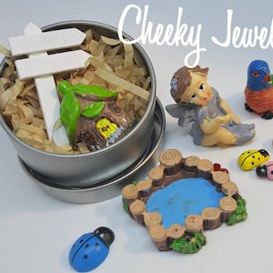 Mini conjunto de hadas con casa en miniatura y estanque, imaginación y juego de simulación. adopta un hada adorable, con certificado de nacimiento. Niños lindos