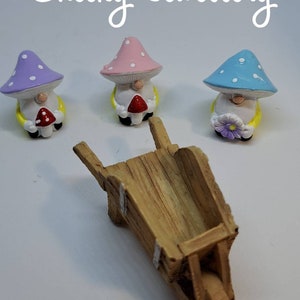 Paddenstoel kabouter vrienden adoptie set, verbeelding en doen alsof spelen. Adopteer een schattige kabouter met geboorteakte. Leuke kinderen. Geweldige cadeaus
