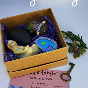Fairy pack, Verbeelding en doen alsof spelen. adopteer een schattige fee, met geboorteakte. Leuke kinderen. Gratis geschenk bij alle bestellingen