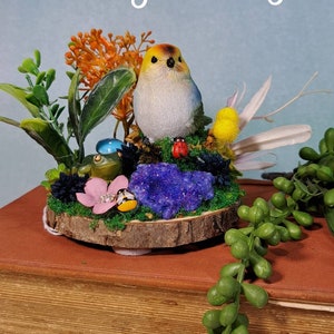 Fairy wren fairy garden with stunning dyed blue crystal, beautiful florals, Imagination play, creative play for kids. Great Gift ideas