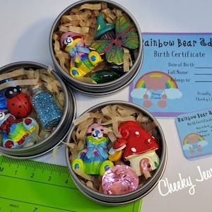 Regenboog beary vriend adoptie set, verbeelding en doen alsof spelen. Adopteer een schattige beer met geboorteakte. Leuke kinderen. Geweldige cadeaus