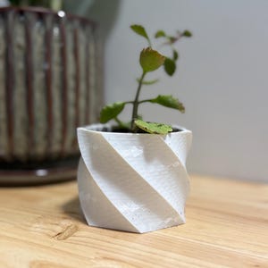 May include: A small, white, spiral-patterned planter pot holding a green plant with small leaves. The pot is square at the base and tapers upwards. The plant has a few small green leaves and a few reddish-brown leaves. Another larger pot is in the background.