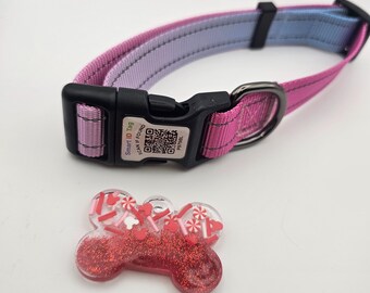 Personalized QR Code Dog Collar with Resin Name Tag