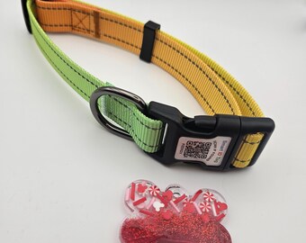 Personalized QR Code Dog Collar with Resin Name Tag