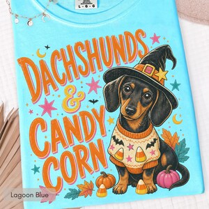 May include: A light blue t-shirt featuring a graphic of a black and tan dachshund wearing a witch hat and a sweater with bat and star patterns. The text reads DACHSHUNDS & CANDY CORN in orange. Pumpkins, candy corn, and colorful stars surround the dog.