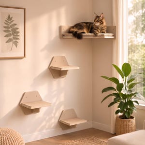 Conjunto de prateleiras de parede para gatos com cama de canto – Móveis de madeira para gatos escalarem
