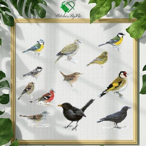 Op de afbeelding: Een ingelijste kruissteek met verschillende vogelsoorten, waaronder een pimpelmees, een duif en een distelvink. Het kunstwerk is geplaatst tegen een witte rasterachtergrond, met de tekst "Stitches By Vic". De lijst is lichtbruin.