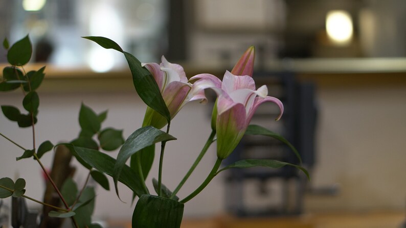 May include: A bouquet of pink lilies with green leaves in a vase. The lilies are in various stages of bloom, with some fully open and others still in bud.
