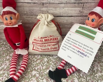Può includere: Due bambole di elfi natalizi in abiti rossi e bianchi con gambe a righe e scarpe nere. Tra loro un sacco beige con il testo "SPECIAL DELIVERY EXPRESS FROM The North Pole". Un elfo tiene in mano un biglietto.
