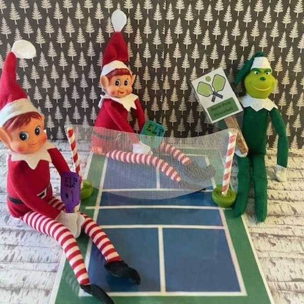 Ensemble d'accessoires de pickleball Elf : filet, terrain, pagaies personnalisées inclus, prêts à monter