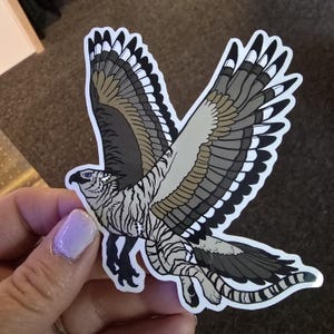 Pegatina de acuarela con retrato de pájaro volador, tigre, halcón y grifo de fantasía