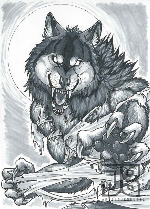 Scary Wolf Drawings