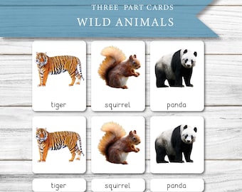 Real Picture Wild Animals Flashcards – 30 Montessori Forest Animal Cards, Printable Homeschool Resource