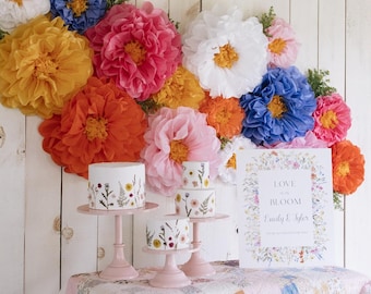 Wildflower Tissue Paper Flower Set, Colorful Pom Poms, Party Decor