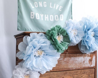 Tissue Paper Flower Wall Decor, Blue Green White Pom Poms, Set of 5