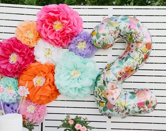 Tissue Paper Flower Wall Decor, Gracie Collection, Set of 10