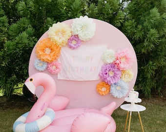 Pastel Rainbow Paper Flower Wall Decor, Molly Collection (Set of 10)