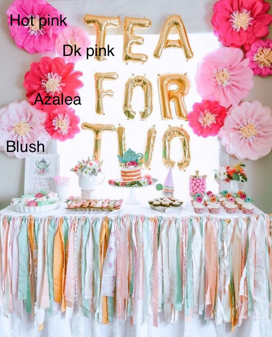 Tissue Paper Flowers set of 5 Second Birthday Party Flower Etsy