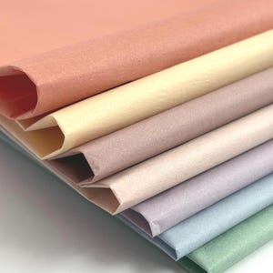 May include: A stack of six pastel colored tissue paper sheets. The colors are peach, light yellow, light pink, lavender, light blue, and light green.