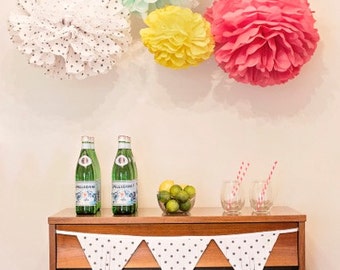 Lucille Collection (set of 5), Craft show booth decoration/ baby shower hanging decoraiton/ nursery mobile/ party decoration