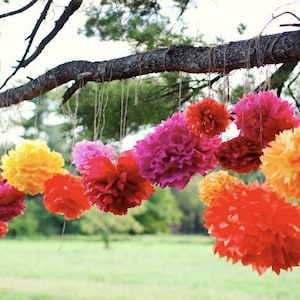 Carta velina pompon, decorazioni festa messicana, Mexican fiesta, fiesta, fiori di carta messicano, celibato/nubilato, baby shower decorazioni, pom