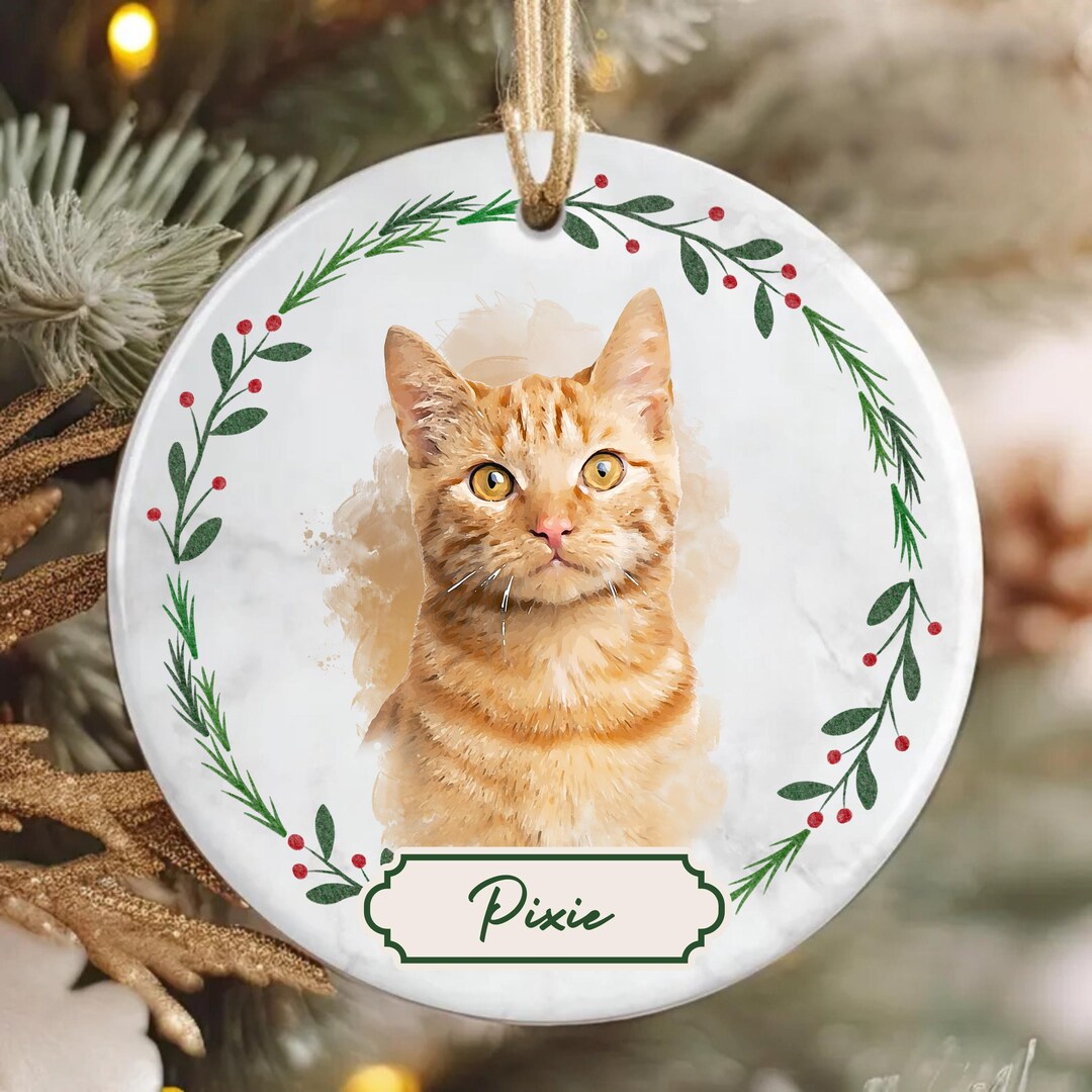 Personalized Cat Ornament With Name Custom Christmas Decoration for Cat ...