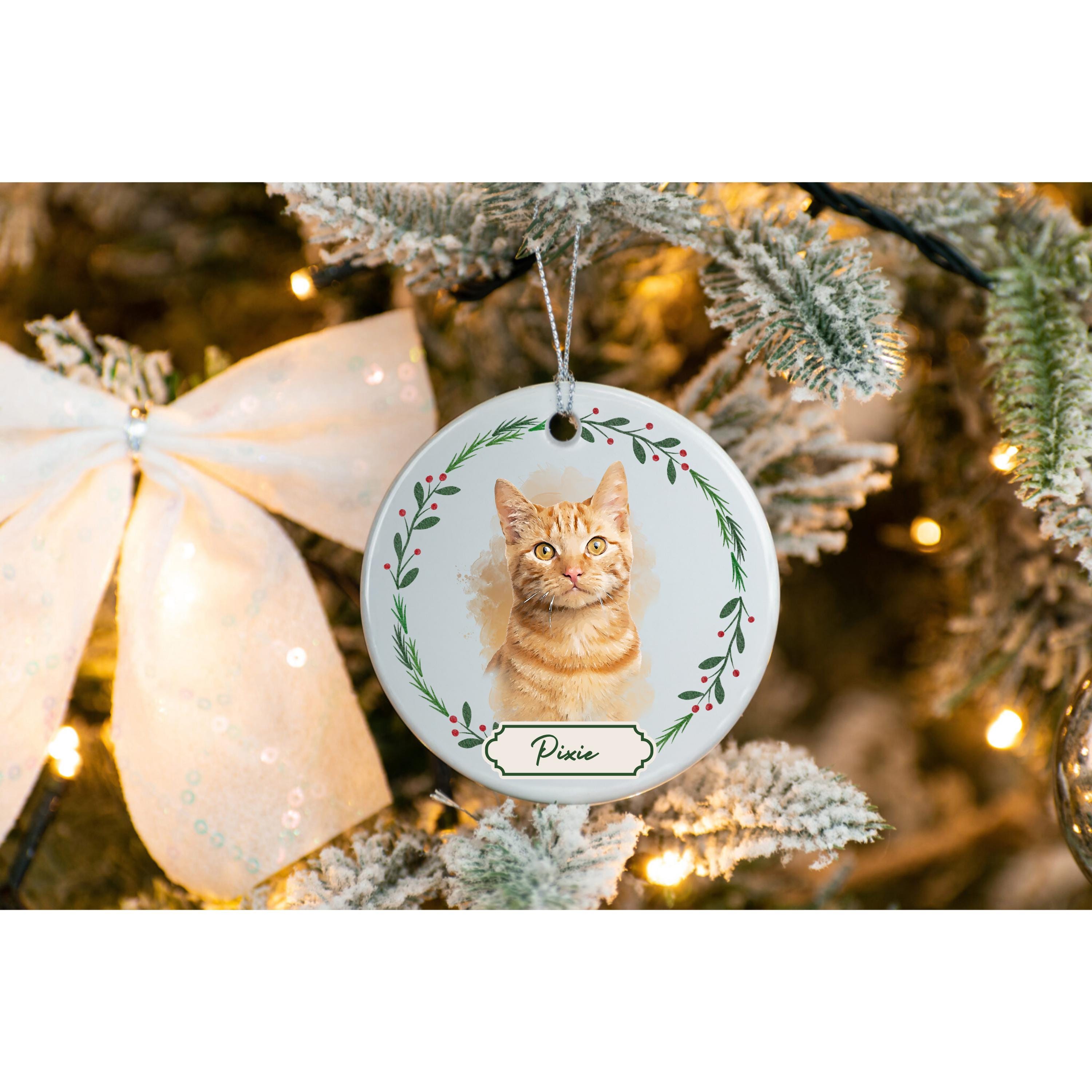 Personalized Cat Ornament With Name Custom Christmas Decoration for Cat ...