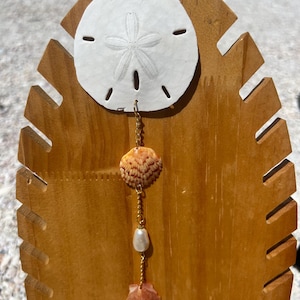 Puede incluir: Un collar colgante artesanal de conchas marinas. El collar presenta un dólar de arena blanco, una cadena dorada, una perla y dos conchas marinas en tonos naranja y marrón. El colgante cuelga de un expositor de madera.