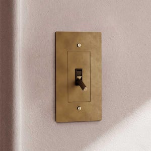 May include: A rectangular brass-colored light switch plate with a toggle switch. The plate has a slightly textured surface and is mounted on a light pink wall. Two screws secure the plate to the wall.