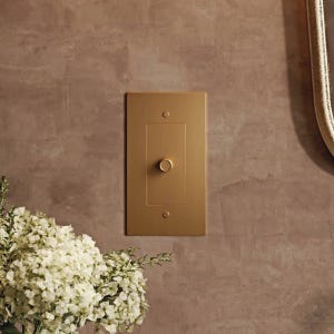 May include: A rectangular, gold-colored dimmer switch with a circular knob. The switch is mounted on a textured, brown wall. A small, white floral arrangement is in the lower left corner.