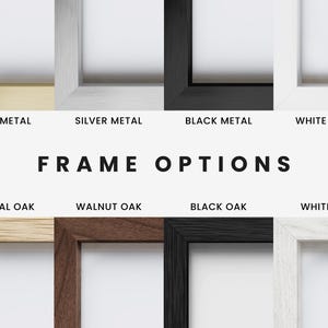a variety of frames with the words frame options