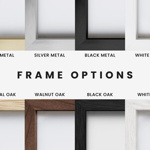 a variety of frames with the words frame options
