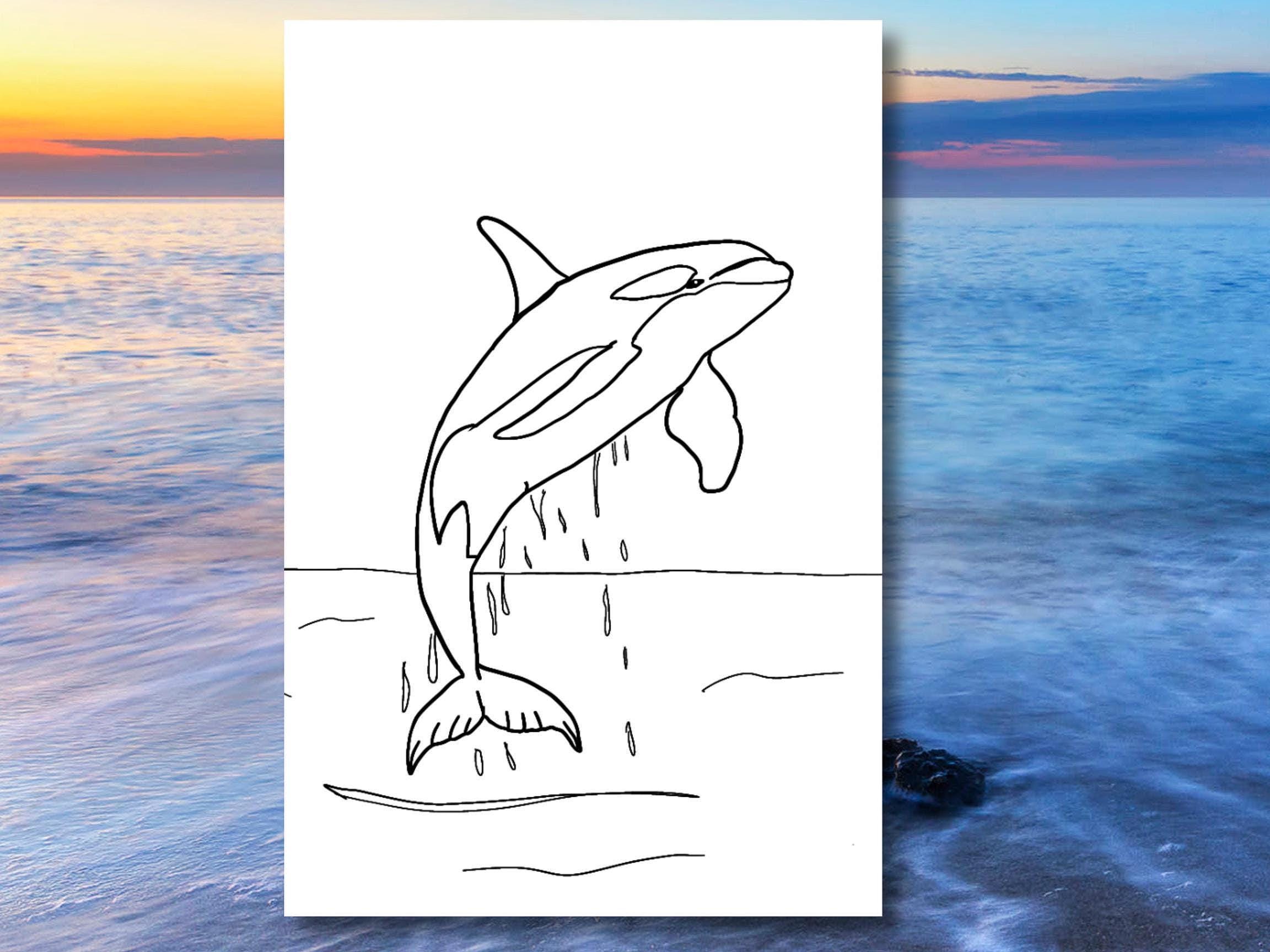 Orca Coloring Page, Killer Whale Printable, Ocean Animal Art, Marine…