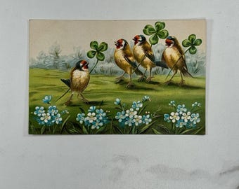 Antike St Patrick’s Day Postkarte Vögel Shamrocks Deutsch Gedruckt c1905 - 1915