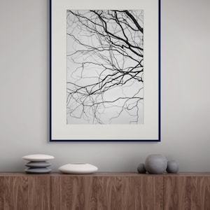 May include: Monochrome framed print featuring tree branches against a pale backdrop. The artwork is in a navy frame with a white mount. Decorative items, including stacked stones and ceramic vases, are on a wooden cabinet below.