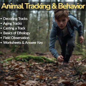 May include: Image of a young person in a forest, focused on animal tracking. Text at the top reads "Animal Tracking & Behavior." Bullet points list topics like "Decoding Tracks" and "Worksheets & Answer Key."