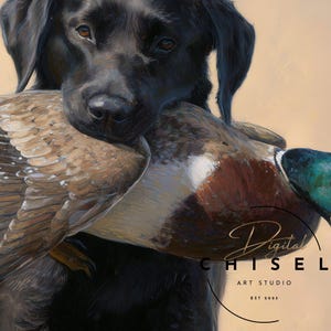 A detailed artwork of a black Labrador retriever holding a harvested mallard drake, showcasing the drake’s iridescent green head and rich chestnut tones. The dog stands confidently in tall grass, conveying the tradition of waterfowl hunting and the loyal partnership between retriever and hunter. The textured brushwork creates a warm, rustic outdoor atmosphere suitable for sporting décor.