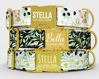 May include: Three dog collars stacked on top of each other. The collars have gold-colored buckles and D-rings. The top and bottom collars have a white background with olive branch and olive designs. The middle collar has a black background with olive branch designs. The top and bottom collars have the name "Stella" and a phone number. The middle collar has the name "Bella" and a phone number.