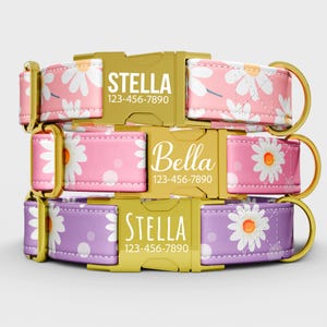 Puede incluir: Tres collares personalizados para perros con estampados de margaritas en rosa y morado. Cada collar tiene una hebilla dorada con un nombre y un número de teléfono. Los collares superior e inferior están etiquetados "Stella", y el collar central está etiquetado "Bella".