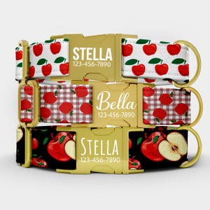 May include: Three dog collars with gold-colored buckles. The top collar has a white background with red apple and green leaf pattern. The middle collar has a red apple pattern on a red and white checkered background. The bottom collar has a black background with red apple and apple slice graphics. Each collar has a name and phone number.