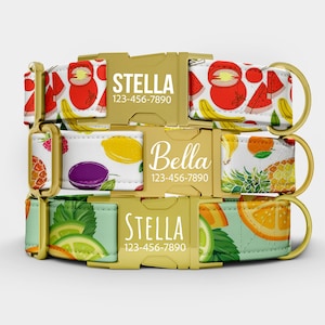 May include: Three dog collars with gold buckles and fruit patterns. The top collar has a red and white pattern with a red fruit design. The middle collar has a white pattern with a lemon and plum design. The bottom collar has a light green pattern with a lime and orange design.