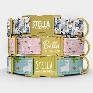 Puede incluir: Tres collares para perros con hebillas doradas. El collar superior tiene un fondo blanco con llamas, cactus, el nombre "Stella" y un número de teléfono. El collar del medio es rosa con llamas y el nombre "Bella". El collar inferior es azul con llamas y el nombre "Stella".