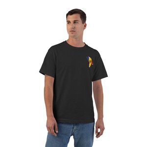 Moldaviens flagga T-shirt | Moldaviska färger T-shirt