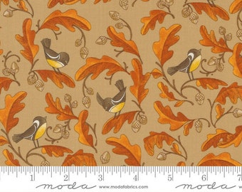 Forest Frolic by Robin Pickens - Chickadees/Acorns - Tan - Moda 48742 14