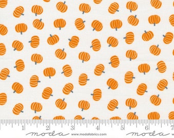 FloralLadybugs Moda 20676 11 Sunday Picnic by Stacy Iest Hsu White